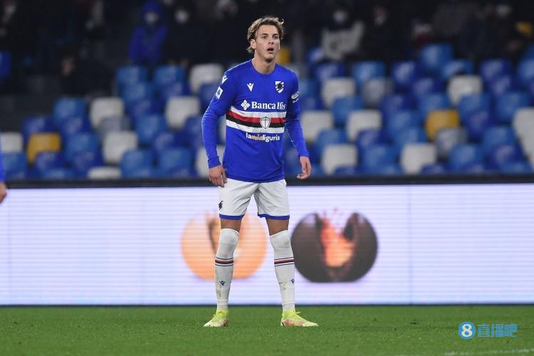 每年都有新 每年都有新