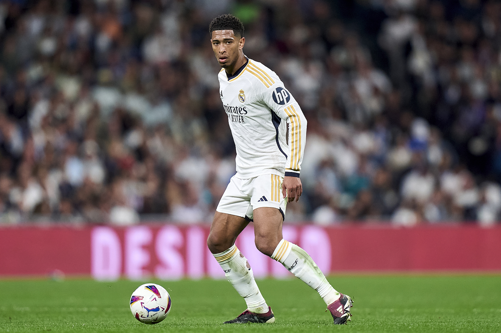 民参与的 民参与的