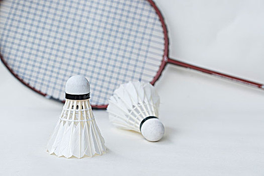 体和社交网 体和社交网